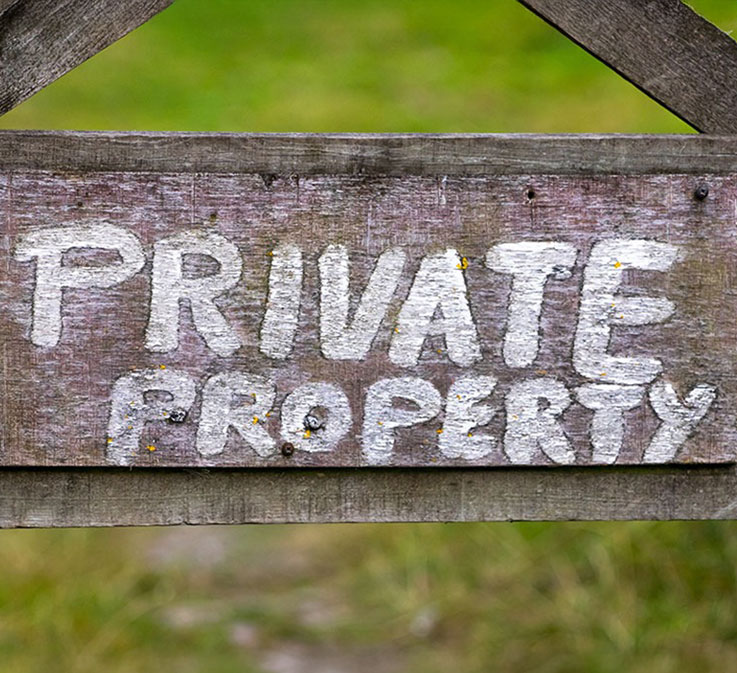 Legal & Regulatory Surveying Services