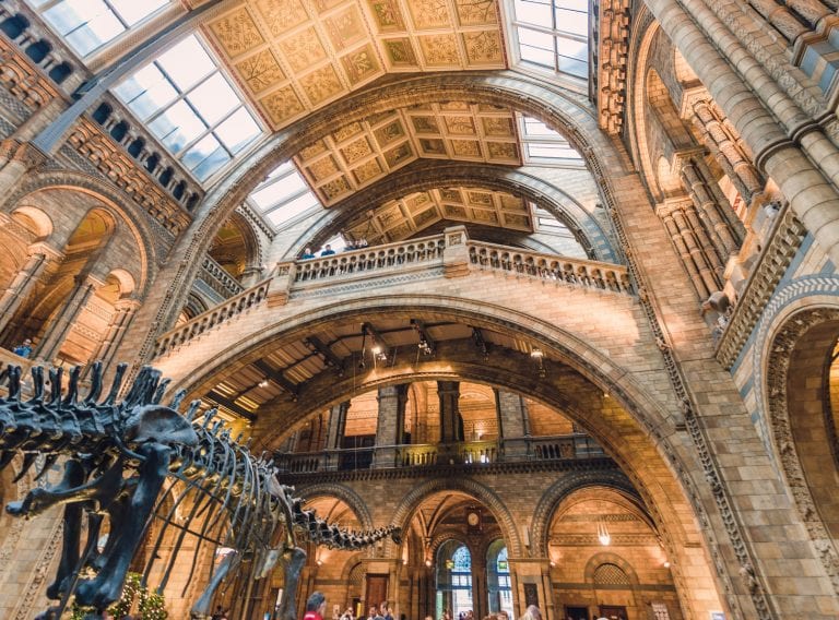 CADS measured building survey and Storeview® for Natural History Museum